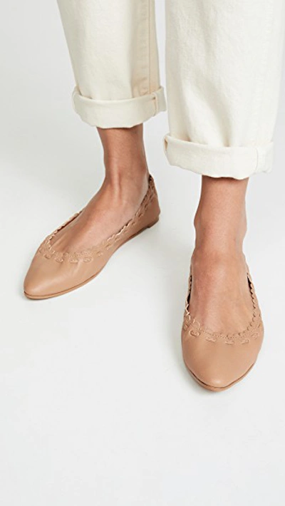 Shop See By Chloé Jane Point Ballet Flats In Biscotto