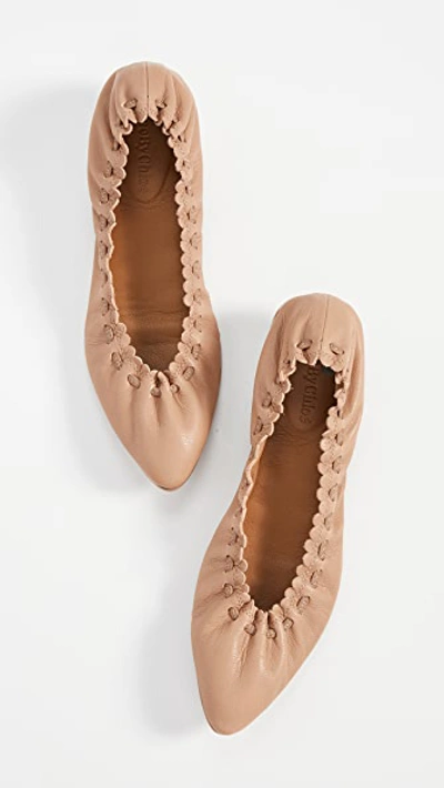Shop See By Chloé Jane Point Ballet Flats In Biscotto