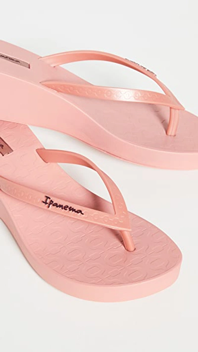 Shop Ipanema Daisy Flip Flops In Pink/pink