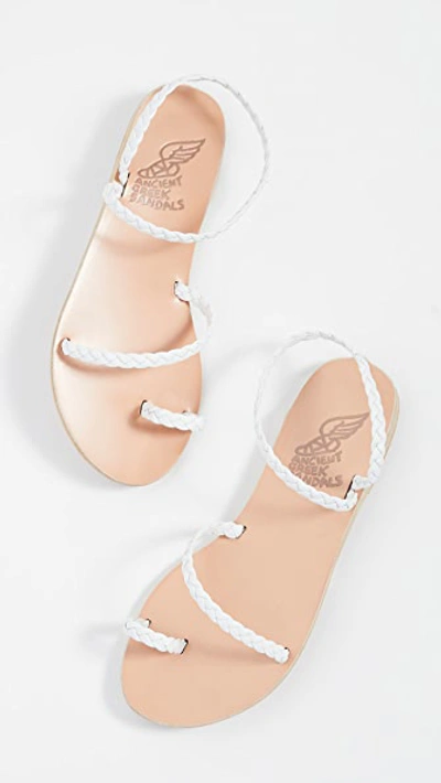 Shop Ancient Greek Sandals Eleftheria Sandals In White