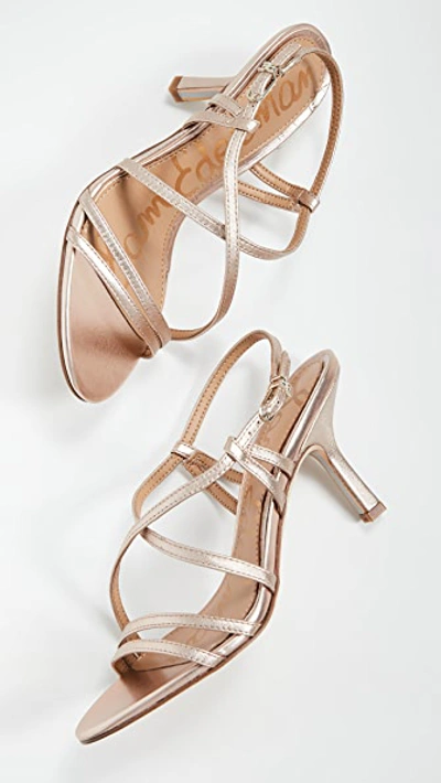 Shop Sam Edelman Paislee Sandals In Champagne