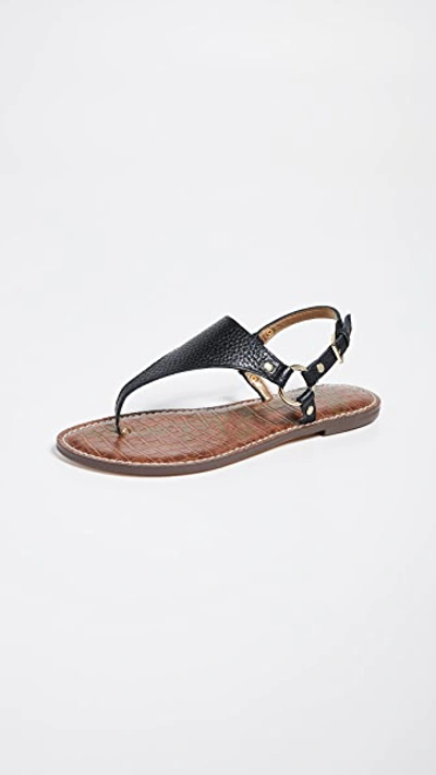 Shop Sam Edelman Greta Thong Sandals In Black
