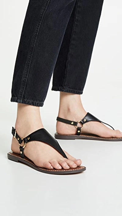 Shop Sam Edelman Greta Thong Sandals In Black