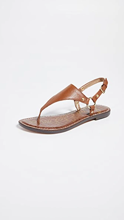 Shop Sam Edelman Greta Thong Sandals In Saddle