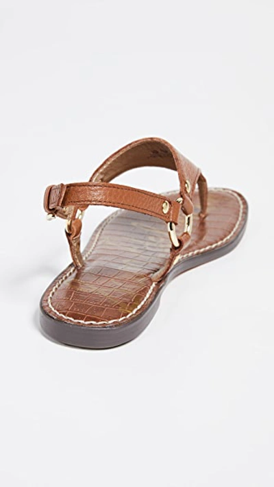 Shop Sam Edelman Greta Thong Sandals In Saddle
