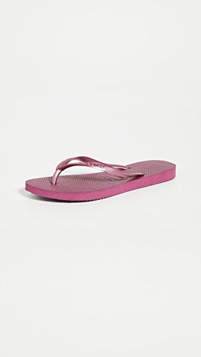 Shop Havaianas Slim Flip Flops In Bordeaux