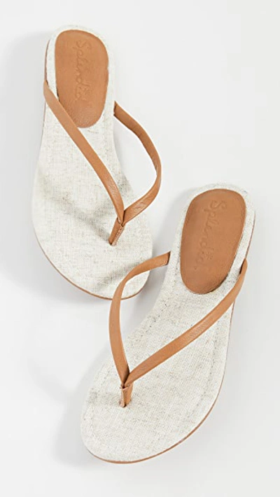 Shop Splendid Ashlee Flip Flops In Sand