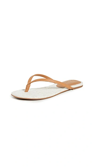 Shop Splendid Ashlee Flip Flops In Sand