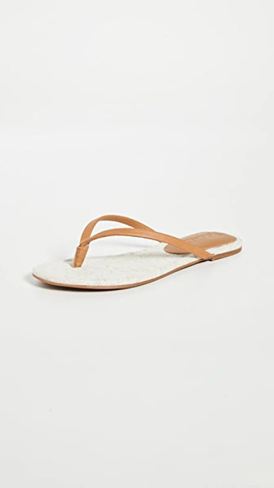 Shop Splendid Ashlee Flip Flops In Sand