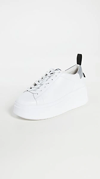 Shop Ash Moon Sneakers In White/silver