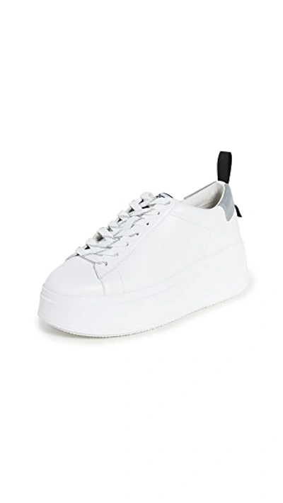 Shop Ash Moon Sneakers In White/silver