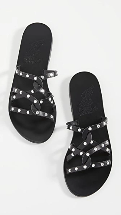 Shop Ancient Greek Sandals Revekka Rivets Sandals In Black