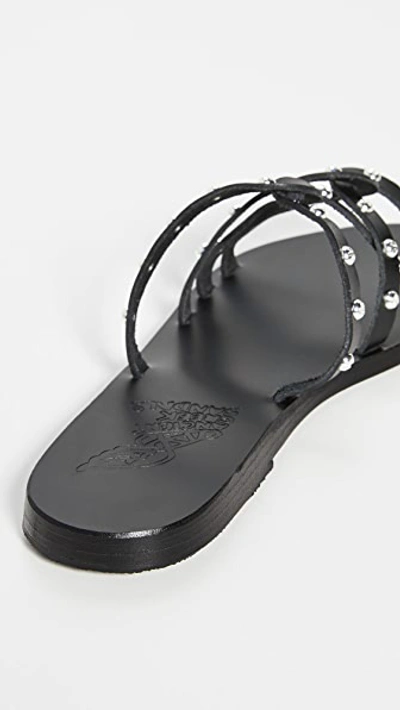 Shop Ancient Greek Sandals Revekka Rivets Sandals In Black