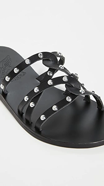 Shop Ancient Greek Sandals Revekka Rivets Sandals In Black