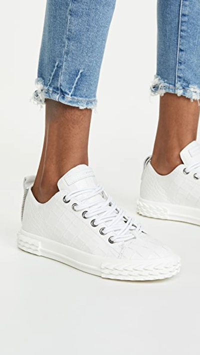 Shop Giuseppe Zanotti Blabber Sneakers In Off White