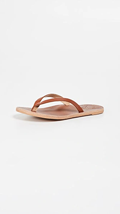 Shop Beek Seabird Flip Flops In Tan/tan