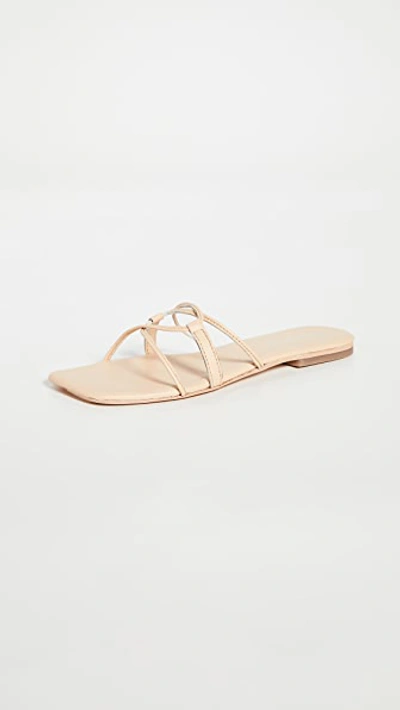 Shop Jeffrey Campbell Adison Sandals In Natural