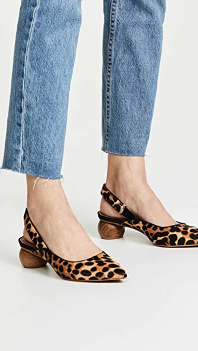 Shop Matiko Circa Slingback Haircalf Pumps In Pony Leopard