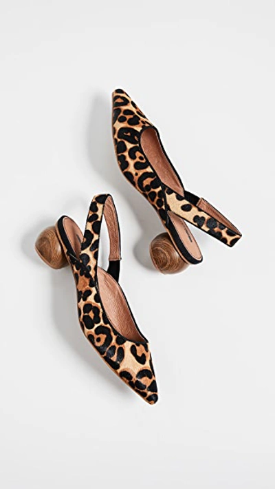 Shop Matiko Circa Slingback Haircalf Pumps In Pony Leopard