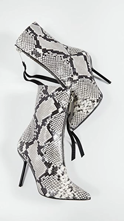 Ben Taverniti Unravel Project Unravel Project Grey 100 Snake Print Ankle Boots In Medium Grey