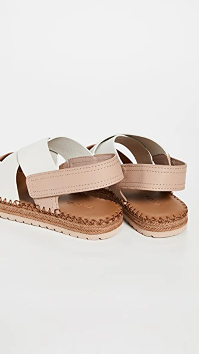 Shop Vince Tenison 2 Sandals In Tan