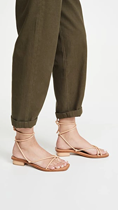 Ara Strappy Sandals