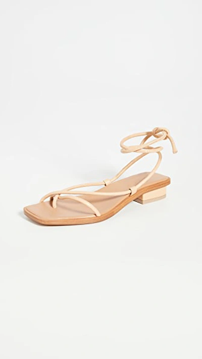 Ara Strappy Sandals