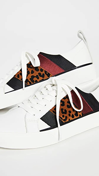 Shop Diane Von Furstenberg Tess 16 Sneakers In White/camel