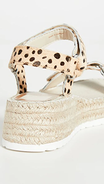 Shop Dolce Vita Myra Sandals In Leopard