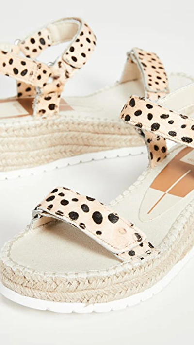 Shop Dolce Vita Myra Sandals In Leopard