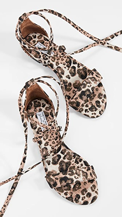 Shop Tabitha Simmons Nellie Sandals In Leopard
