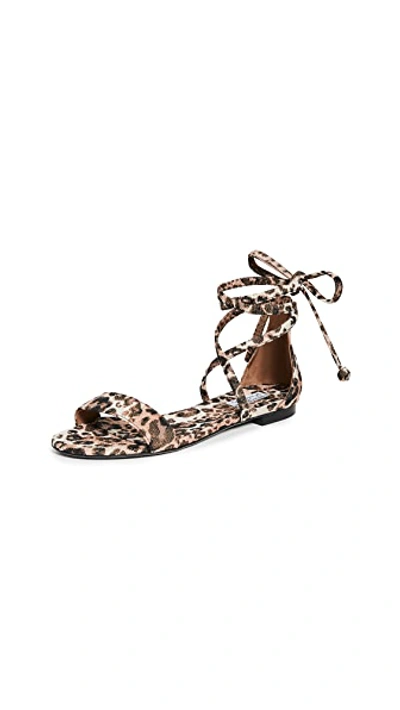 Shop Tabitha Simmons Nellie Sandals In Leopard