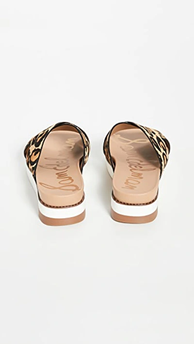 Shop Sam Edelman Audrea Slides In New Nude Leopard