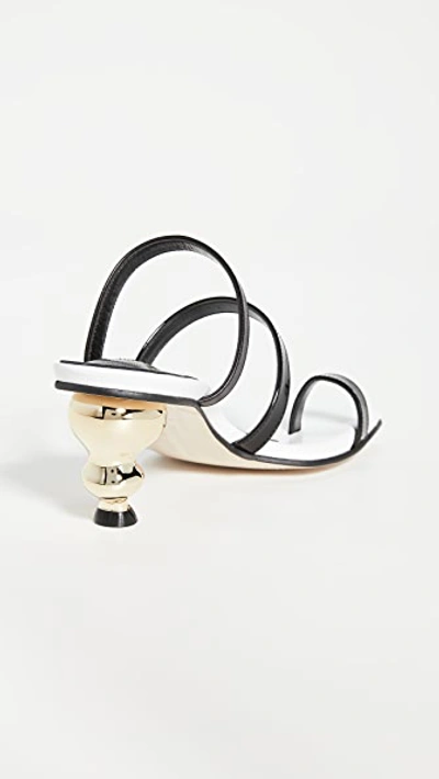 Shop House Of Holland Sunrise Sandals In Black/white