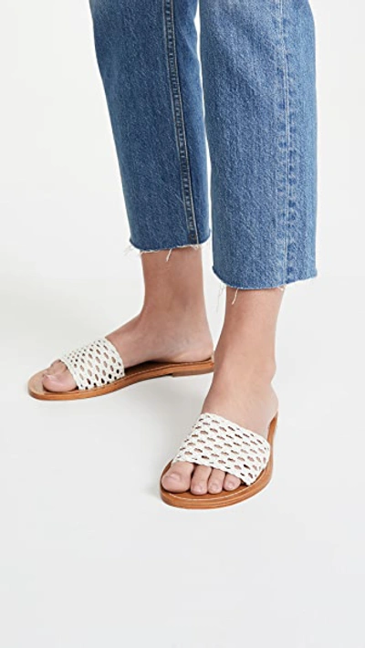 Shop Souliers Martinez Playa Sandals In Salinas