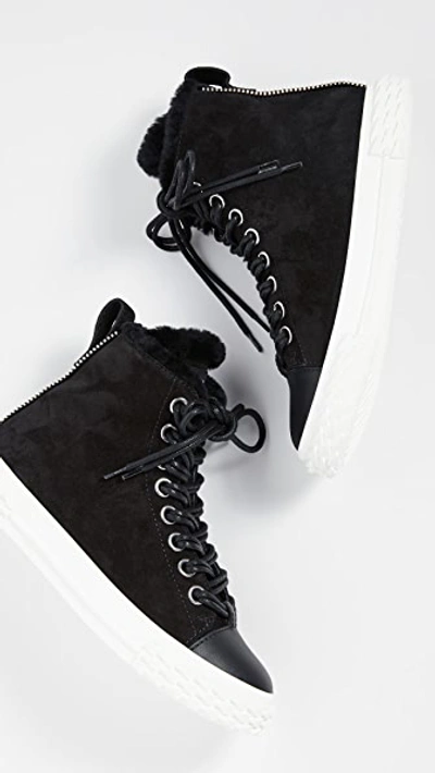 Shop Giuseppe Zanotti Blabber High Top Sneakers In Nero