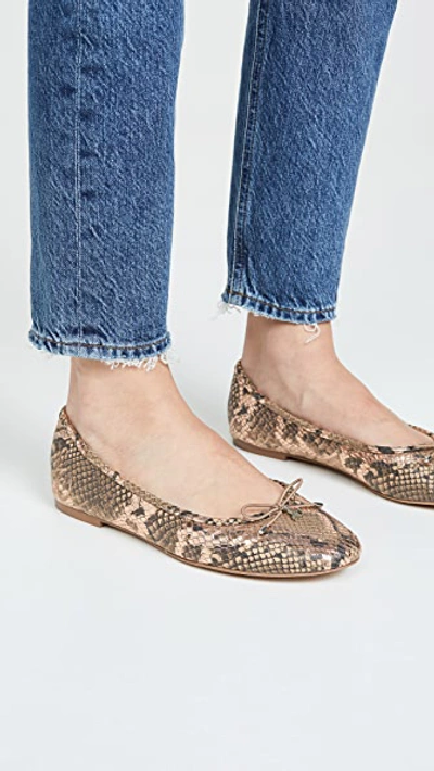 Shop Sam Edelman Felicia Flats In Brown Snake Print