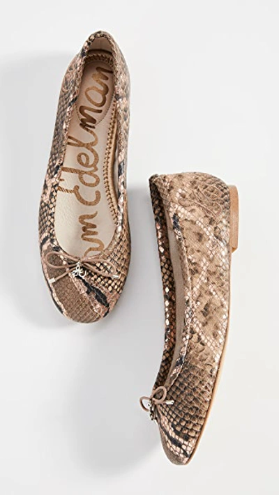 Shop Sam Edelman Felicia Flats In Brown Snake Print