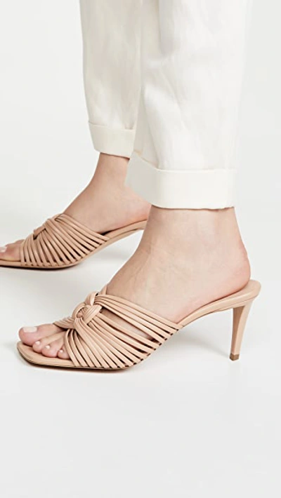 Shop Stella Mccartney Strappy Mules In Rose