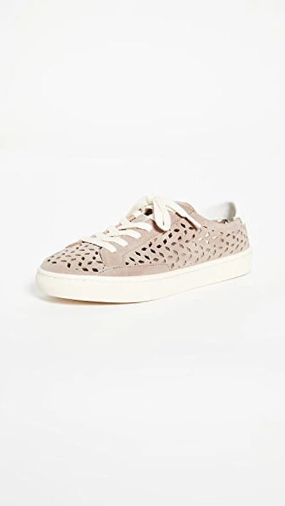 Shop Soludos Ibiza Perforated Sneakers In Mineral Grey