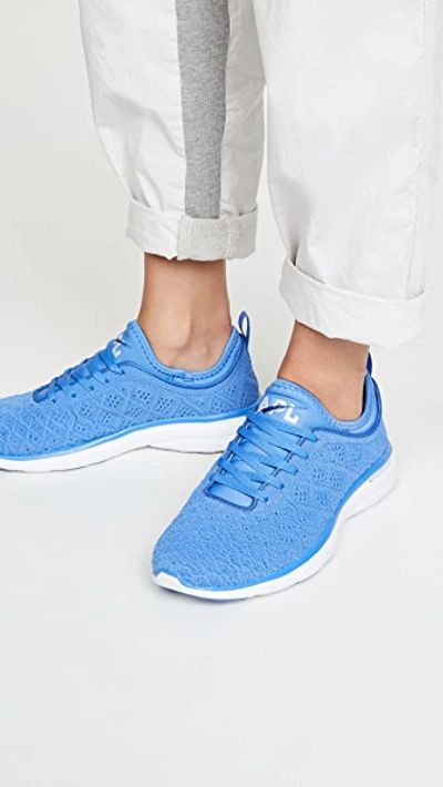 Shop Apl Athletic Propulsion Labs Techloom Phantom Sneakers In Palace Blue/white