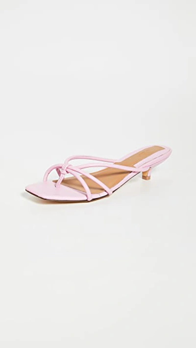 Shop Jaggar Loop Kitten Heel Sandals In Pink Lilac