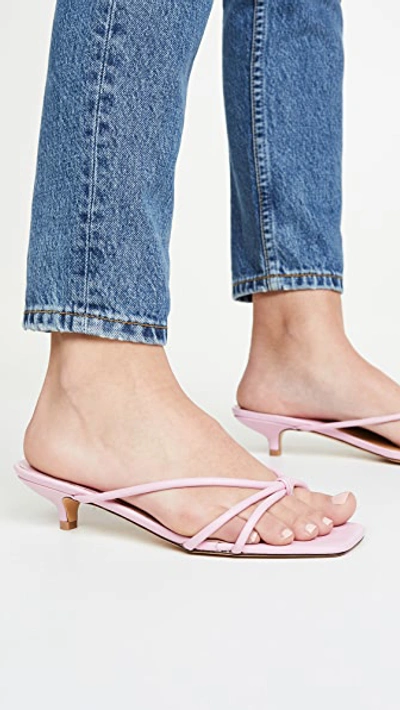 Shop Jaggar Loop Kitten Heel Sandals In Pink Lilac