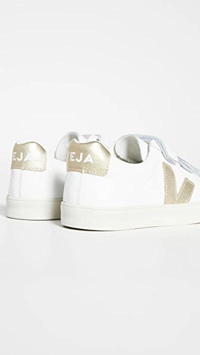 Shop Veja 3-lock Logo Sneakers In Extra White/gold