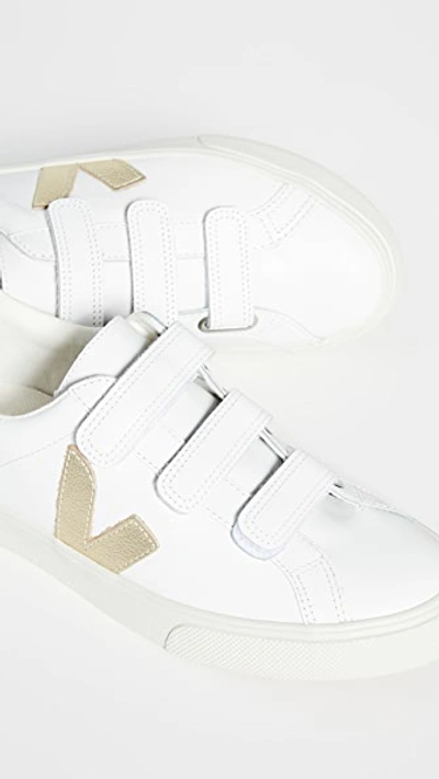 Shop Veja 3-lock Logo Sneakers In Extra White/gold