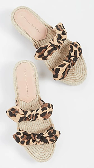 Shop Loeffler Randall Daisy Espadrille Platform Sandals In Leopard