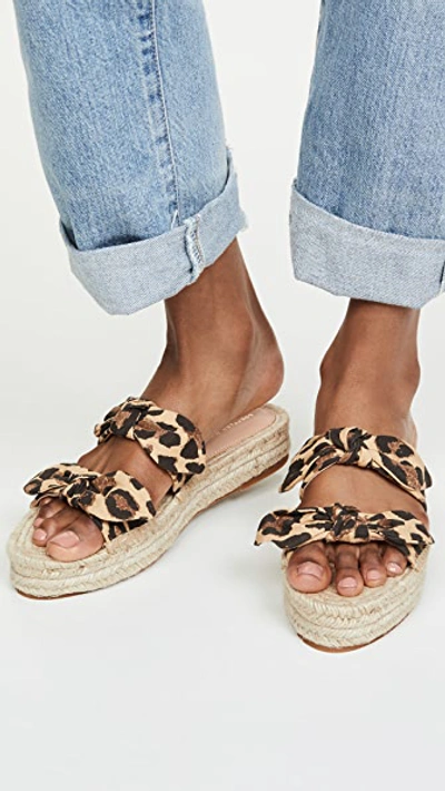 Shop Loeffler Randall Daisy Espadrille Platform Sandals In Leopard