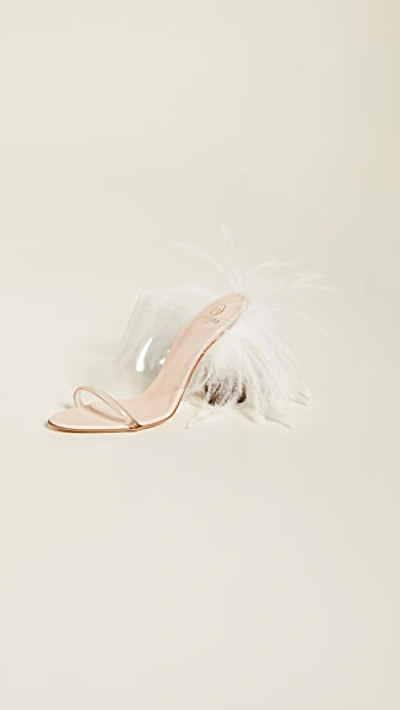 Shop Brother Vellies Bianca Mules In Pompon Clear