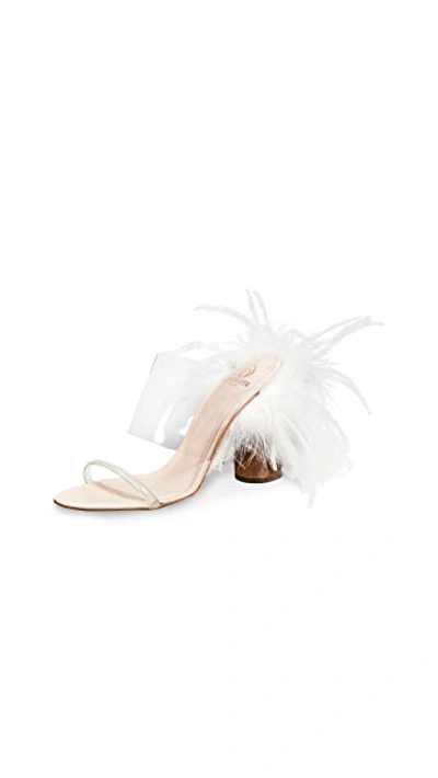 Shop Brother Vellies Bianca Mules In Pompon Clear