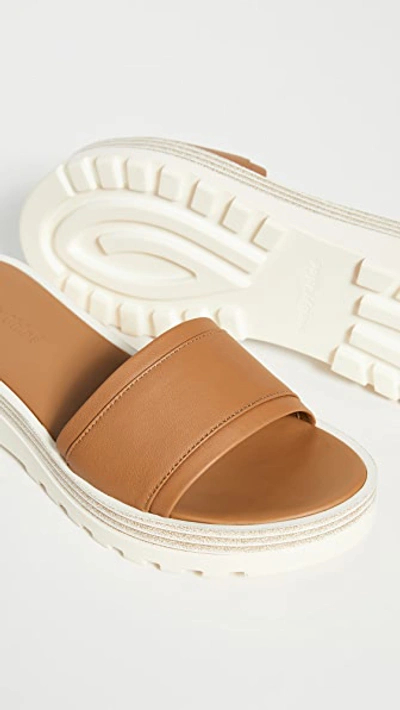 Shop See By Chloé Robin Sandals In Cuoio
